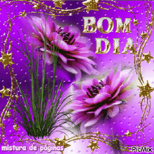 a purple background with pink flowers and the words bom dia in gold letters