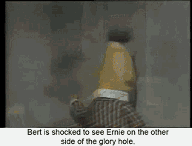Bert Is Shocked To See Ernie On The Other Side Glory Hole GIF - Bert Is Shocked To See Ernie On The Other Side Glory Hole Puppets GIFs