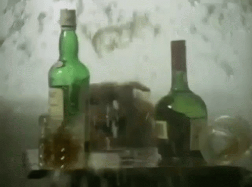 Uninvited Alcohol Cat Scary GIF - Uninvited Alcohol Cat Scary GIFs