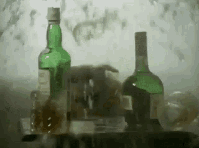 two bottles of alcohol are sitting on a shelf in a refrigerator .