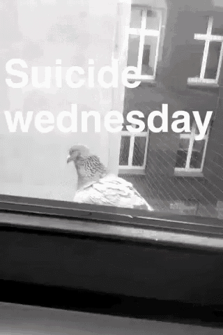 Suicide Wednesday GIF - Suicide Wednesday Work GIFs