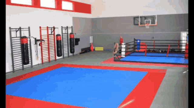 Gym Animated GIF - Gym Animated Sparring GIFs