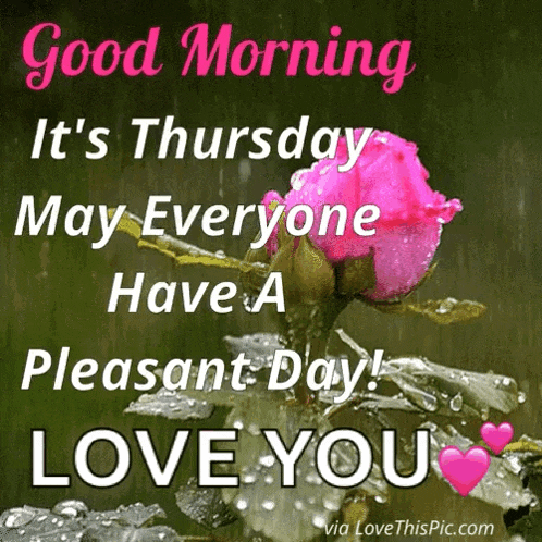 a picture of a pink rose with the words good morning it 's thursday may everyone have a pleasant day