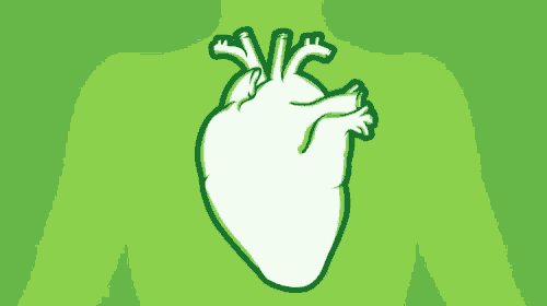 a drawing of a heart and a heartbeat line