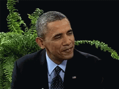 Obama President Obama GIF