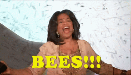 Bees Deltora Quest Bee Meme GIF