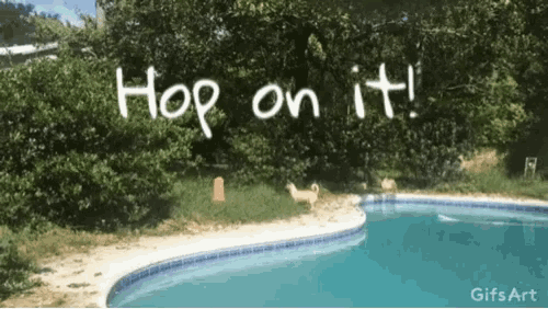 On It Hop GIF - On It Hop Cute Dog GIFs
