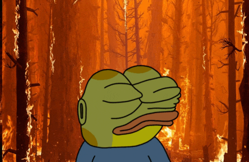 a cartoon frog is standing in front of a forest fire