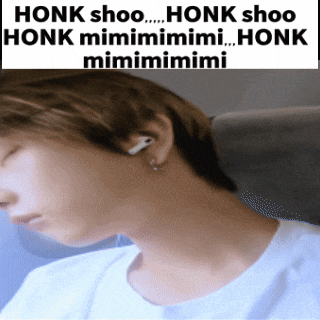 a picture of a person with a caption that says honk shoo honk mimimimi