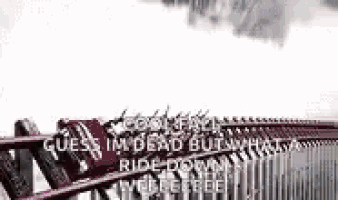 a roller coaster with a quote on it that says `` guess im dead but what ride down , you 're free '' .