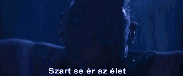 a close up of a person 's face with the words start se er az elet in white letters .