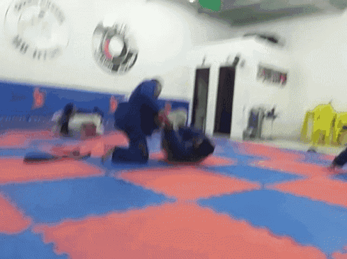 a group of people are practicing martial arts on a mat in a gym