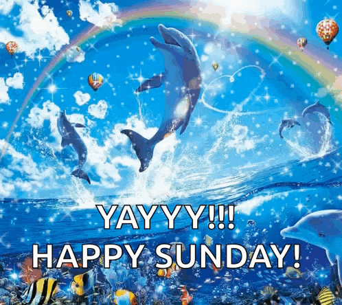 dolphins jumping out of the water with the words yayyy happy sunday