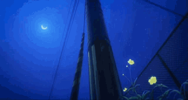 a crescent moon is visible in the night sky above a fence and a pole .