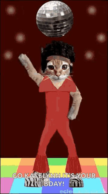 a cat in a disco outfit is dancing with a disco ball and says go katelynn it 's your bday