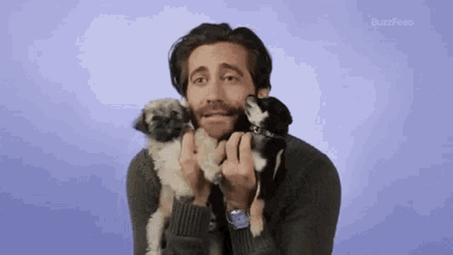 a man in a green sweater is holding two small puppies in his hands .