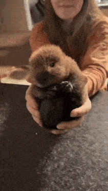 a woman is holding a puppy in her hands .