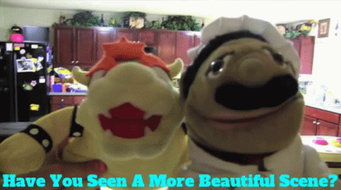 Sml Bowser GIF - Sml Bowser Have You Seen A More Beautiful Scene GIFs