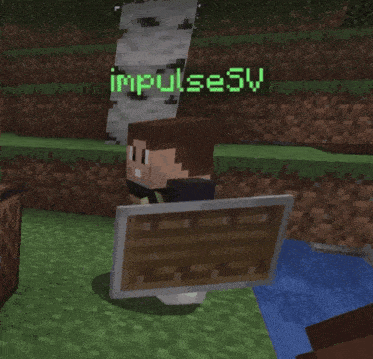 a minecraft character holding a wooden shield with the name impulsesv below him