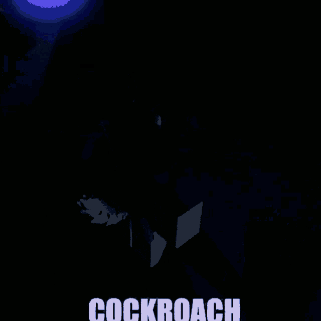 Roblox Cockroach GIF - Roblox Cockroach Meme GIFs