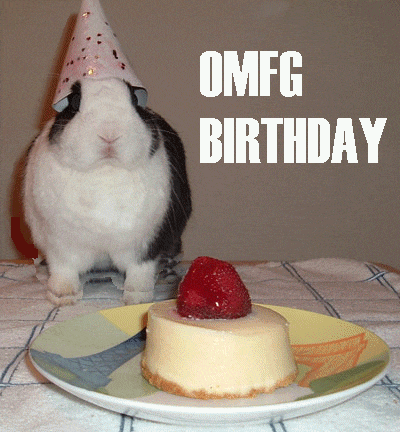 a black and white rabbit wearing a party hat is standing next to a plate of cheesecake