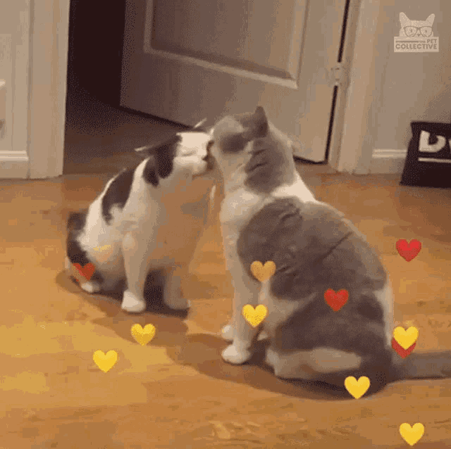 Kisses Love GIF - Kisses Love Cats GIFs