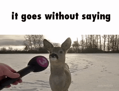 Deer Interview GIF - Deer Interview It Goes Without Saying GIFs
