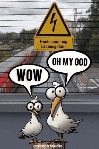 two seagulls are standing in front of a sign that says wow and oh my god