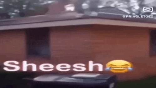 a brick building with a trash can in front of it and the word sheesh written on it .