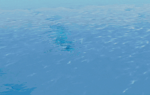 a sailfish is swimming in the ocean and looking for food .