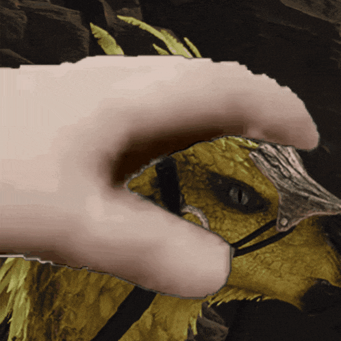 a close up of a hand holding a bird