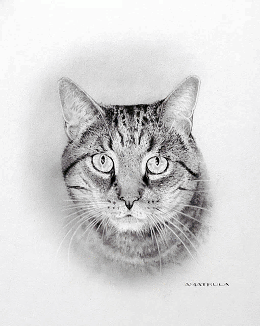 a black and white drawing of a cat 's face by amathula