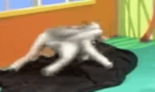a dog is laying on a black blanket in a room with a window .
