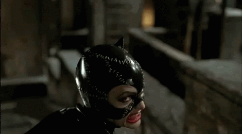 Catwoman Batman GIF - Catwoman Batman GIFs