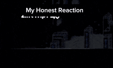 a screenshot of a video game with the words " my honest reaction " at the top