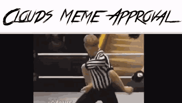 a picture of a referee in a wrestling ring with the caption " clouds meme approval "