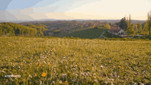 a field of grass and flowers with the word getimages in the corner