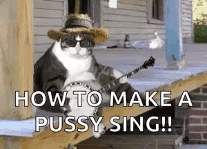 a cat is sitting on a porch playing a banjo and wearing sunglasses .