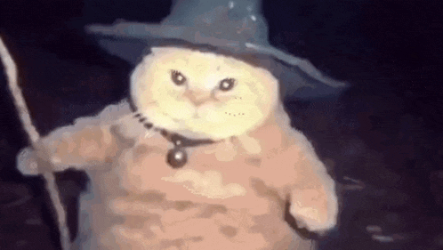 a cat is wearing a wizard hat and holding a staff .