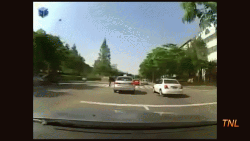 This Is What You Should Do When You Are Short On Cash. GIF - Tnl Car Crossing GIFs