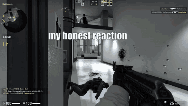 a screenshot of a video game with the words " my honest reaction "