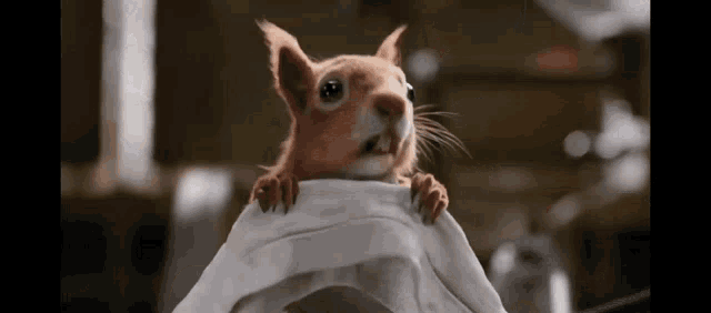 a close up of a squirrel holding a piece of paper .