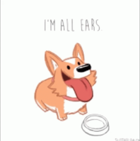 Cute Dog All Ears GIF - Cute Dog All Ears Cute GIFs