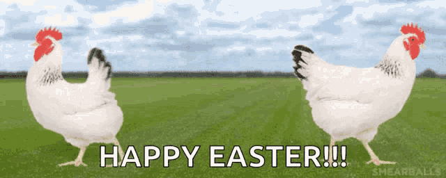 two chickens are standing in a field with the words happy easter