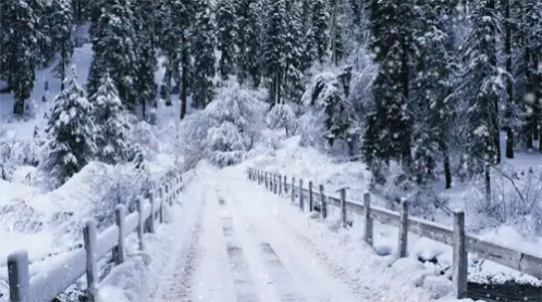 Driving In Snow No Snow GIF - Driving In Snow No Snow Hate Snow GIFs