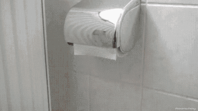 Toilet Paper Barf GIF - Toilet Paper Barf GIFs