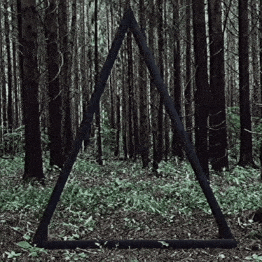a black triangle in the middle of the woods