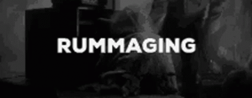 Black And White Rummaging GIF - Black And White Rummaging Looking GIFs