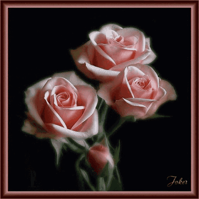 a framed picture of three pink roses with the name joker on the bottom