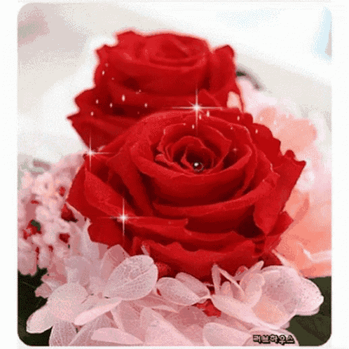 a close up of three red roses with sparkles coming out of the center